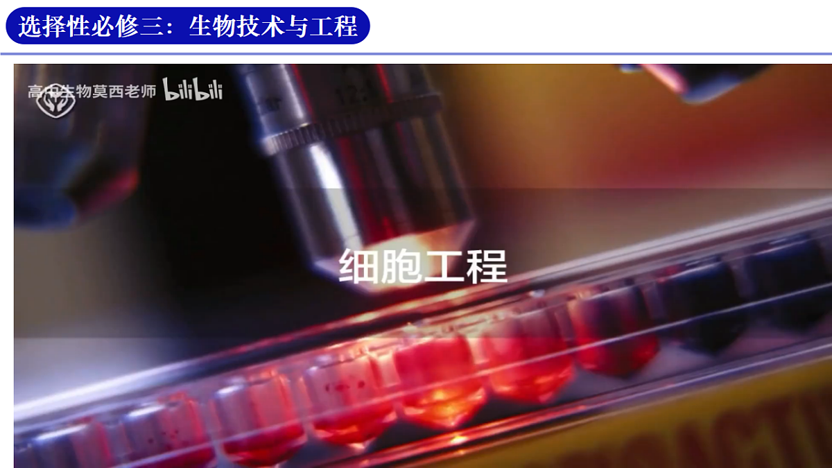 18318779第1页