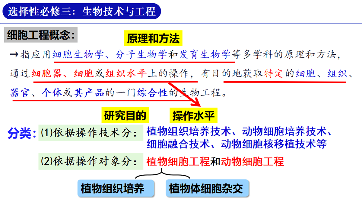 18318779第2页