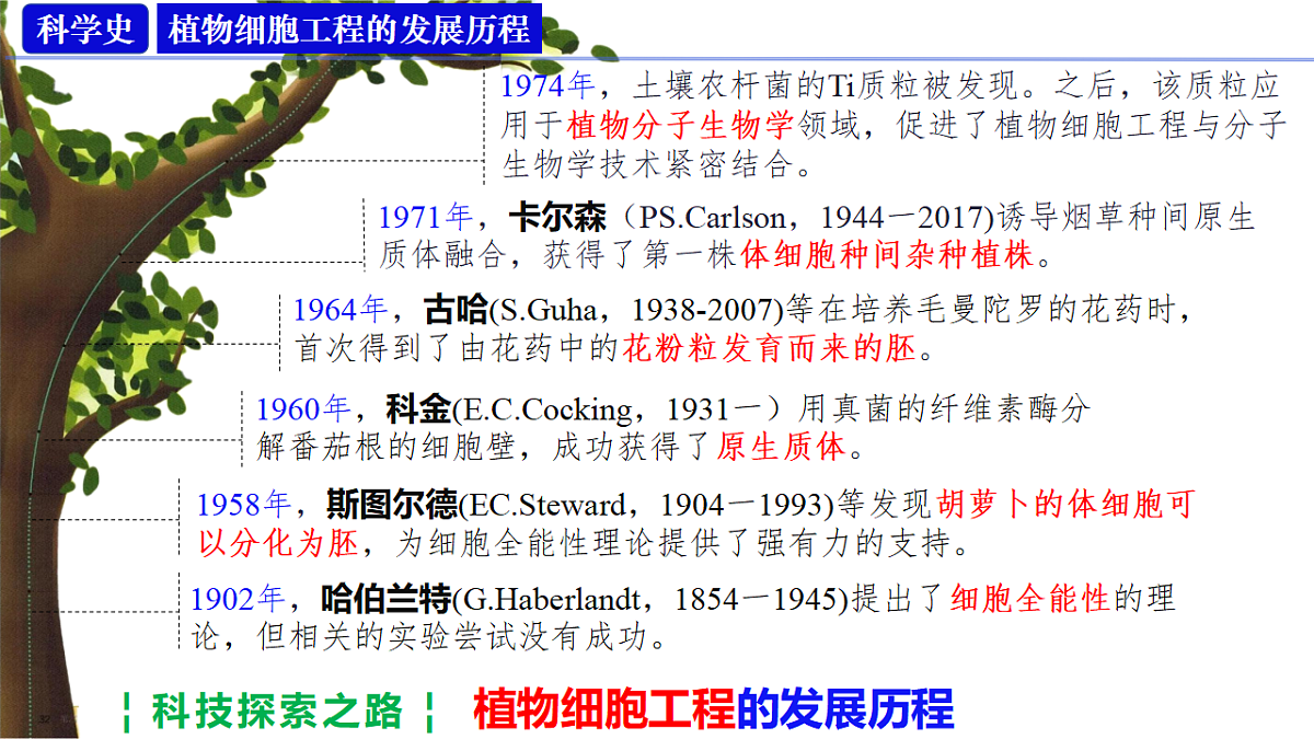 18318779第3页
