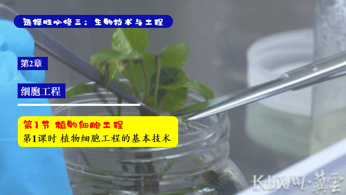 18318779第4页
