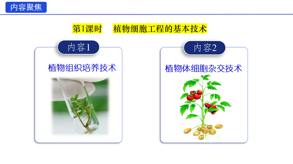 18318779第6页