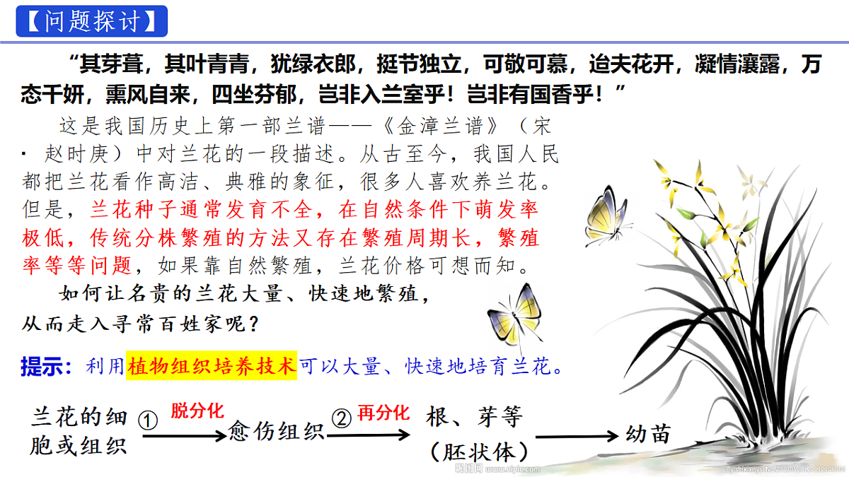 18318779第7页