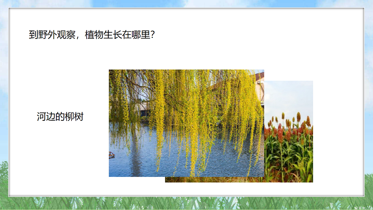 18324224第7页