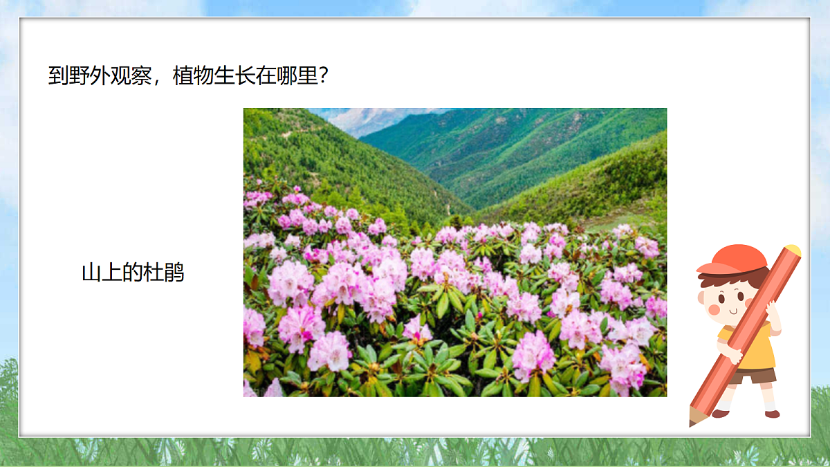 18324224第8页