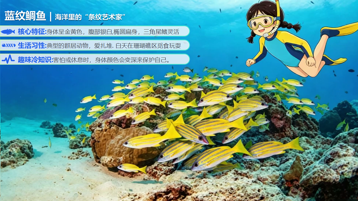 3.3 大海的约定 精品课件第4页