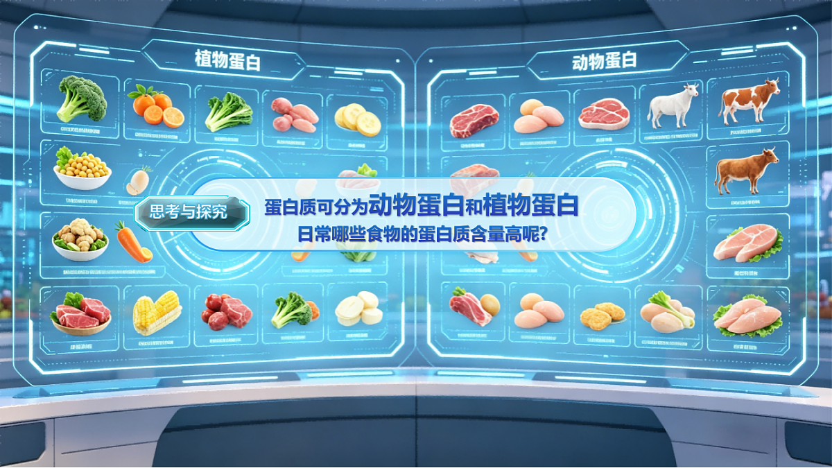 4.2 食物成分形象化 精品课件第6页