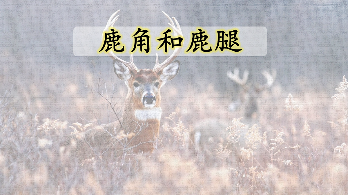 18327163第1页