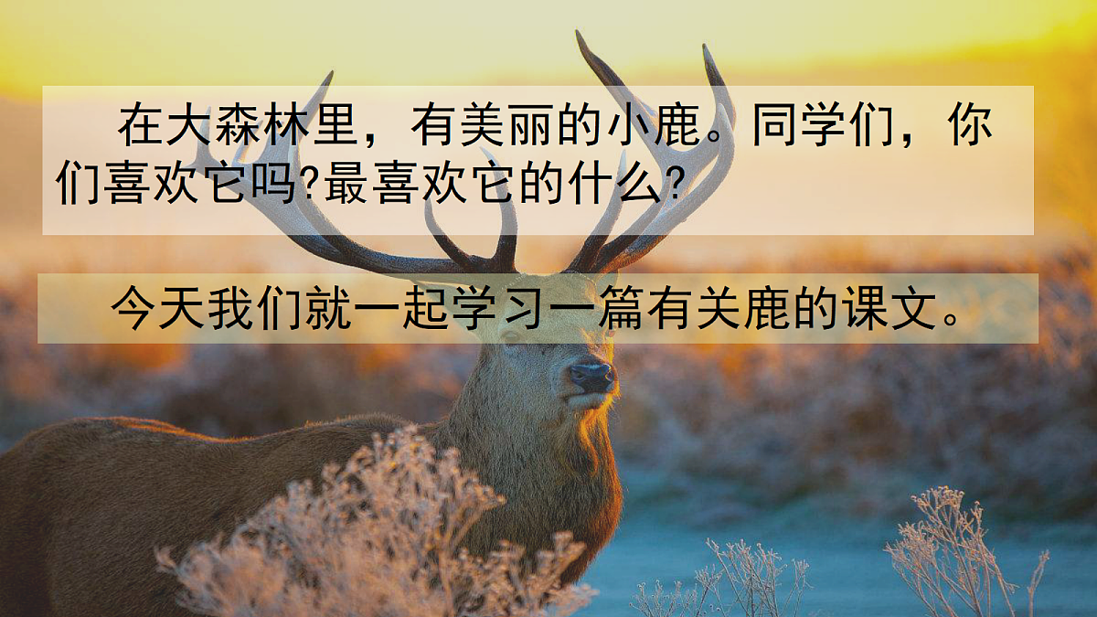 18327163第6页