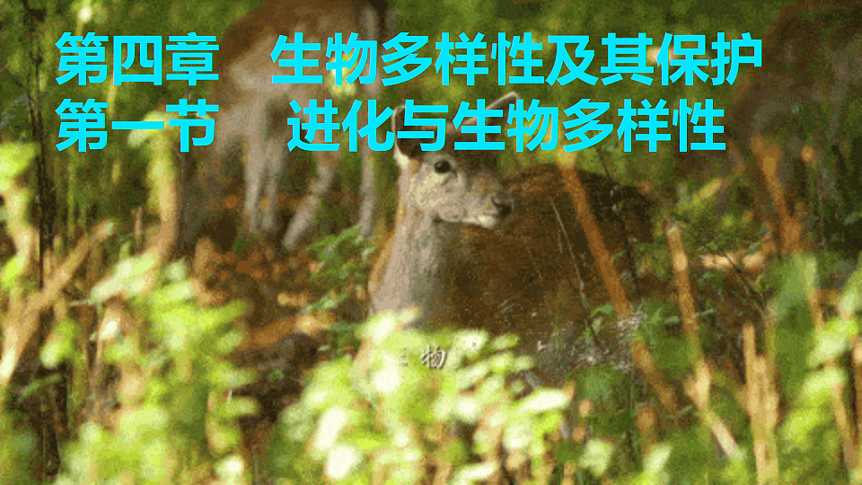 18328355第2页