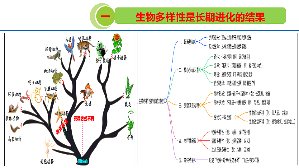 18328355第3页