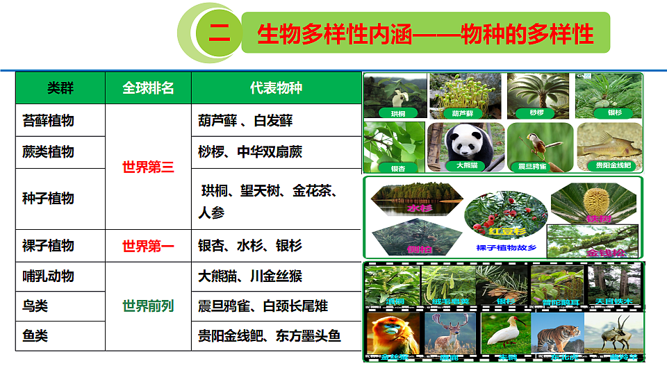 18328355第5页