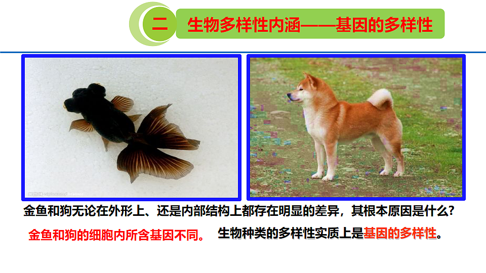 18328355第6页
