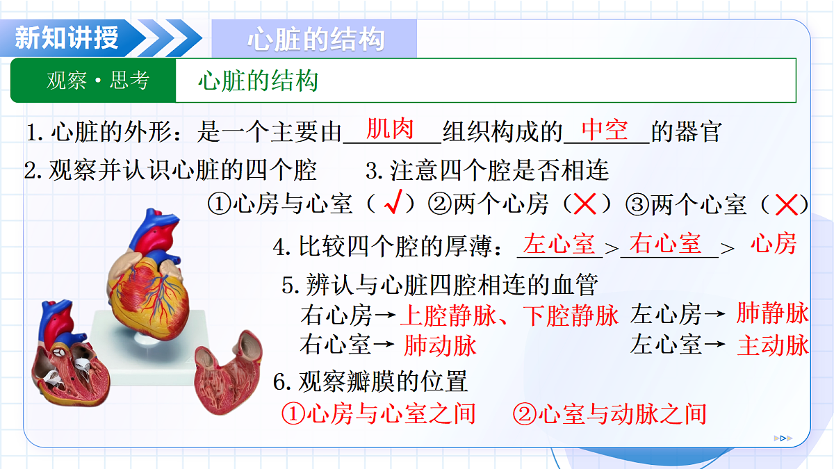 18329481第7页