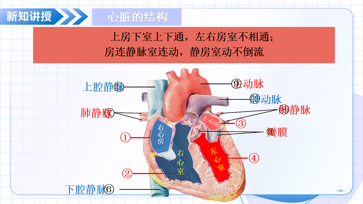 18329481第8页
