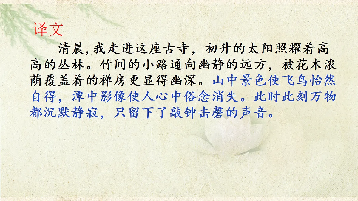 18329505第5页