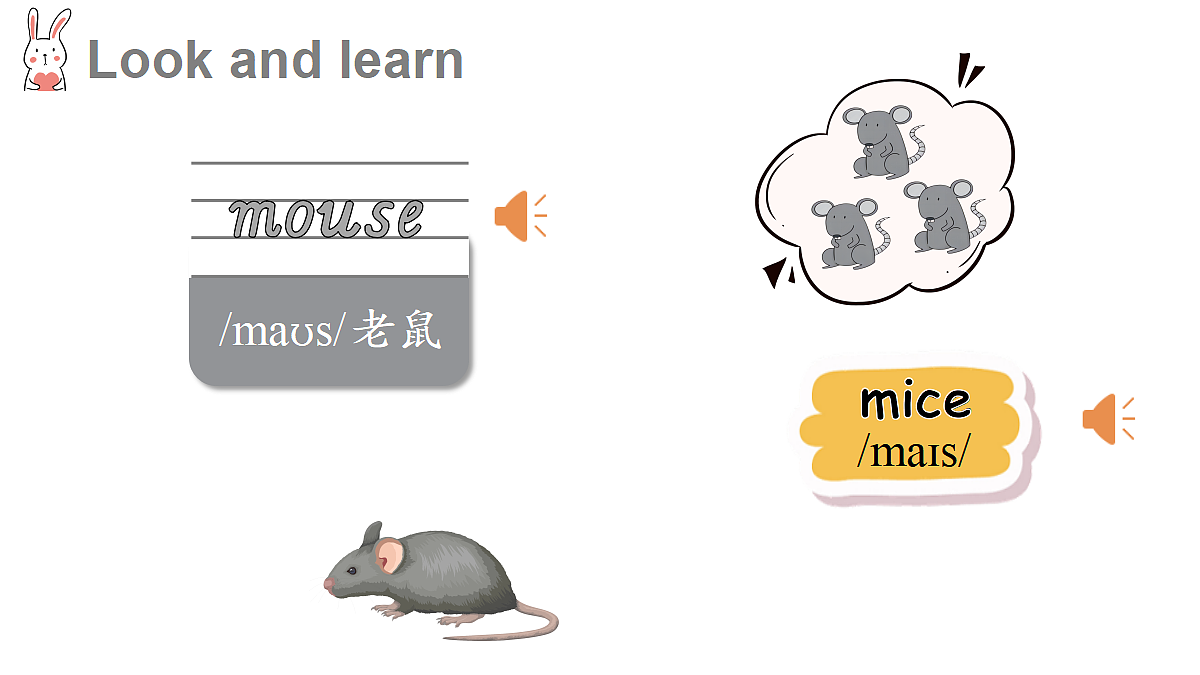 第5课时 B Let's learn & Listen and chant & C Project 1-2第6页