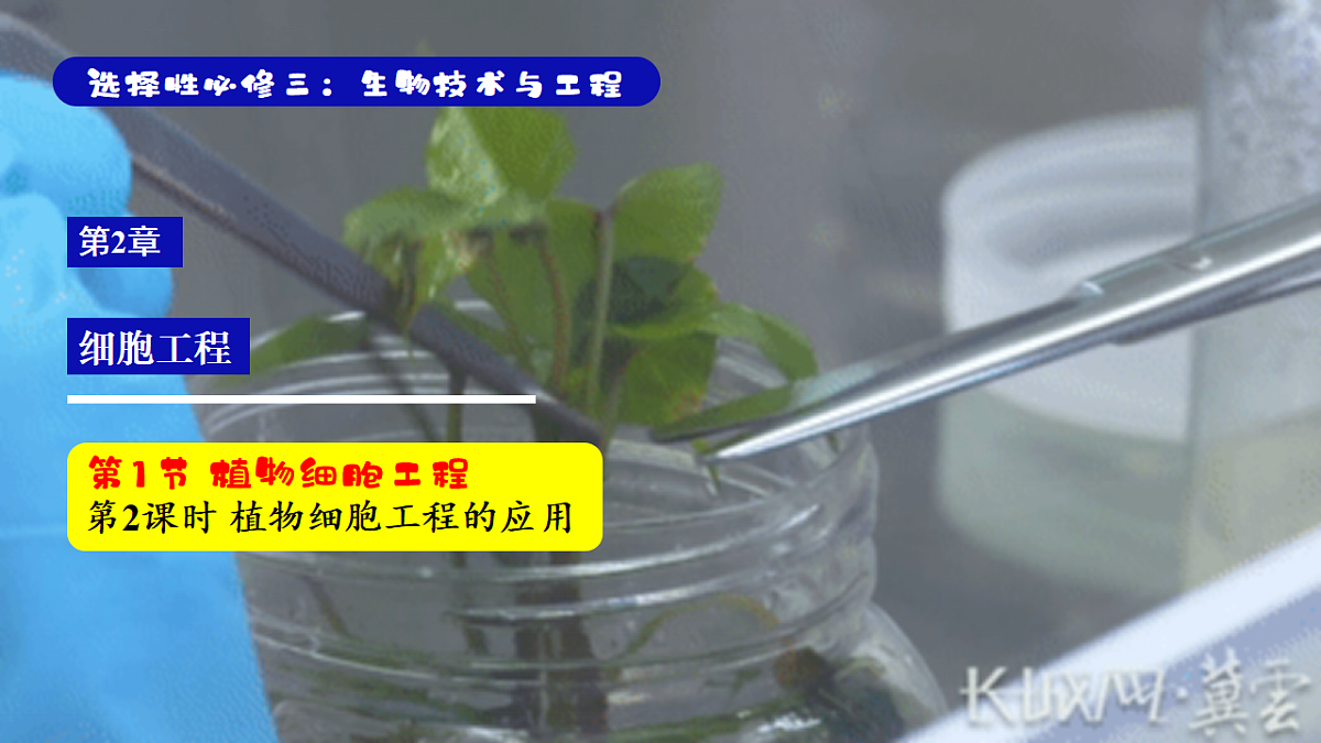 18329768第1页