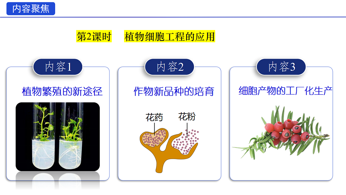 18329768第3页