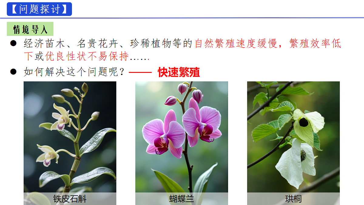 18329768第4页