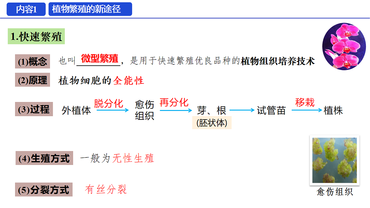 18329768第6页