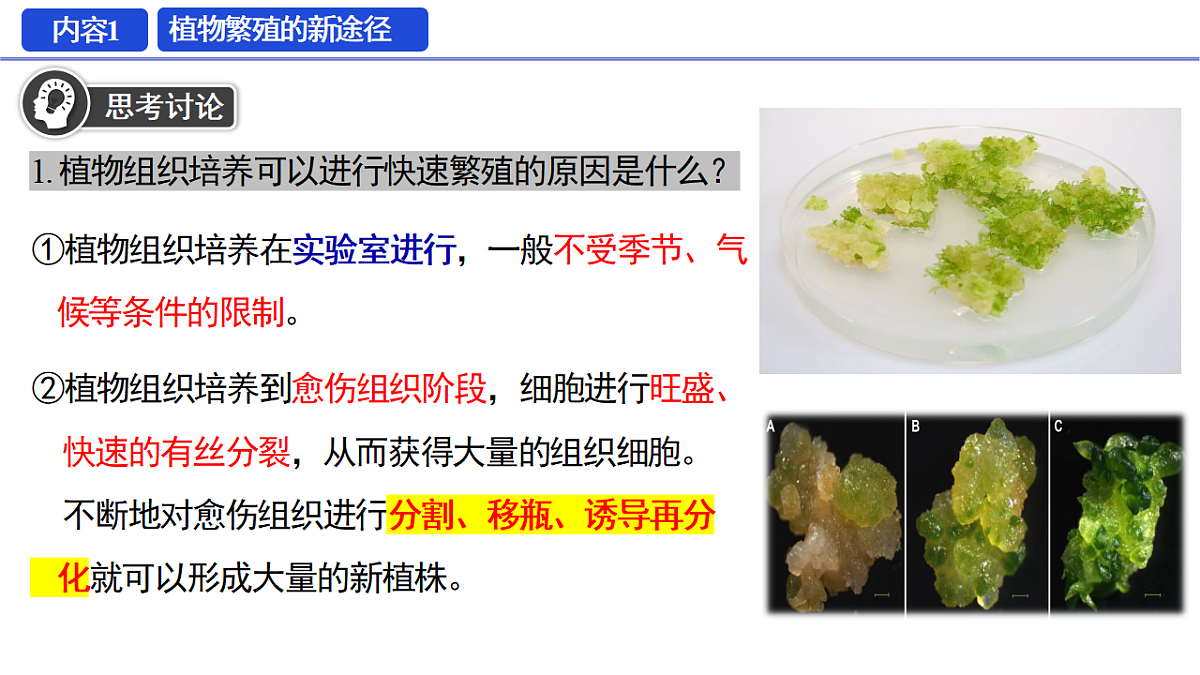 18329768第8页