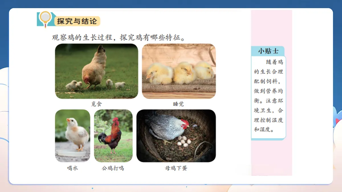 18329849第3页