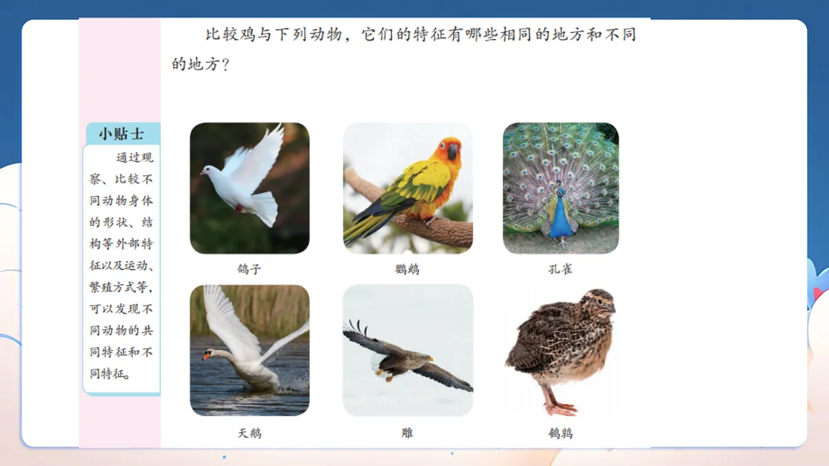 18329849第5页