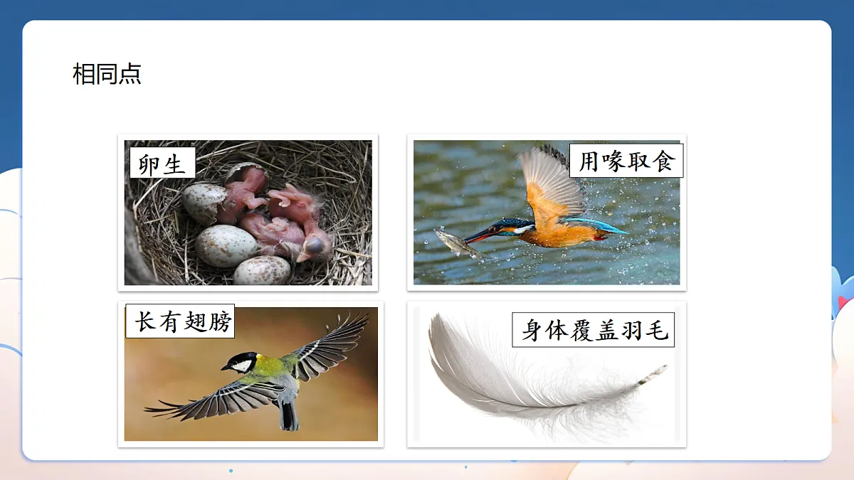 18329849第7页