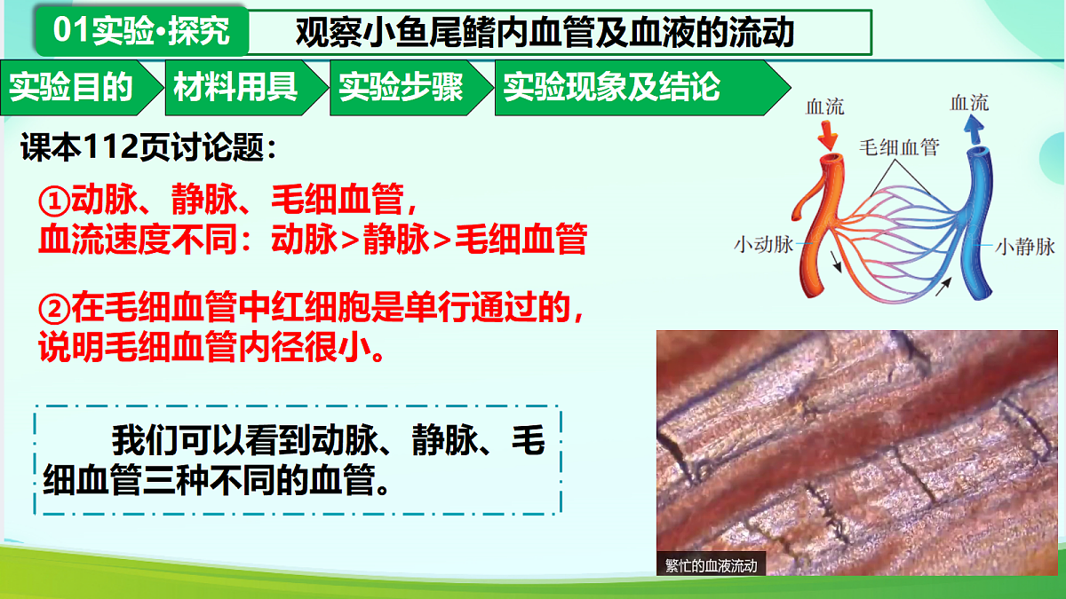 18330172第3页