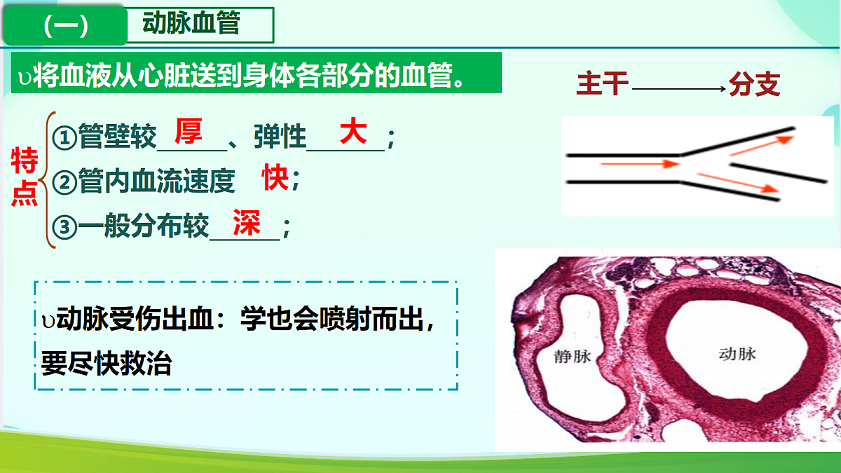 18330172第4页
