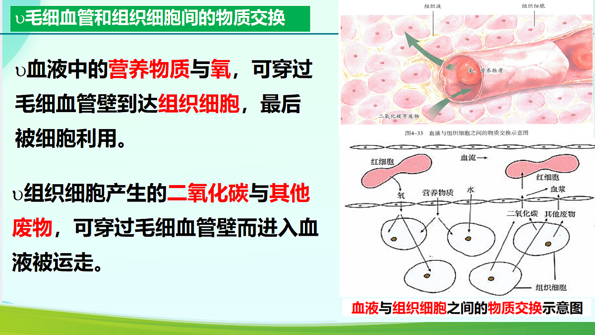 18330172第6页