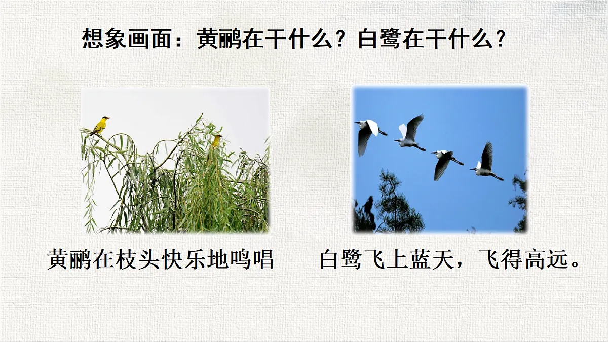 18331409第8页