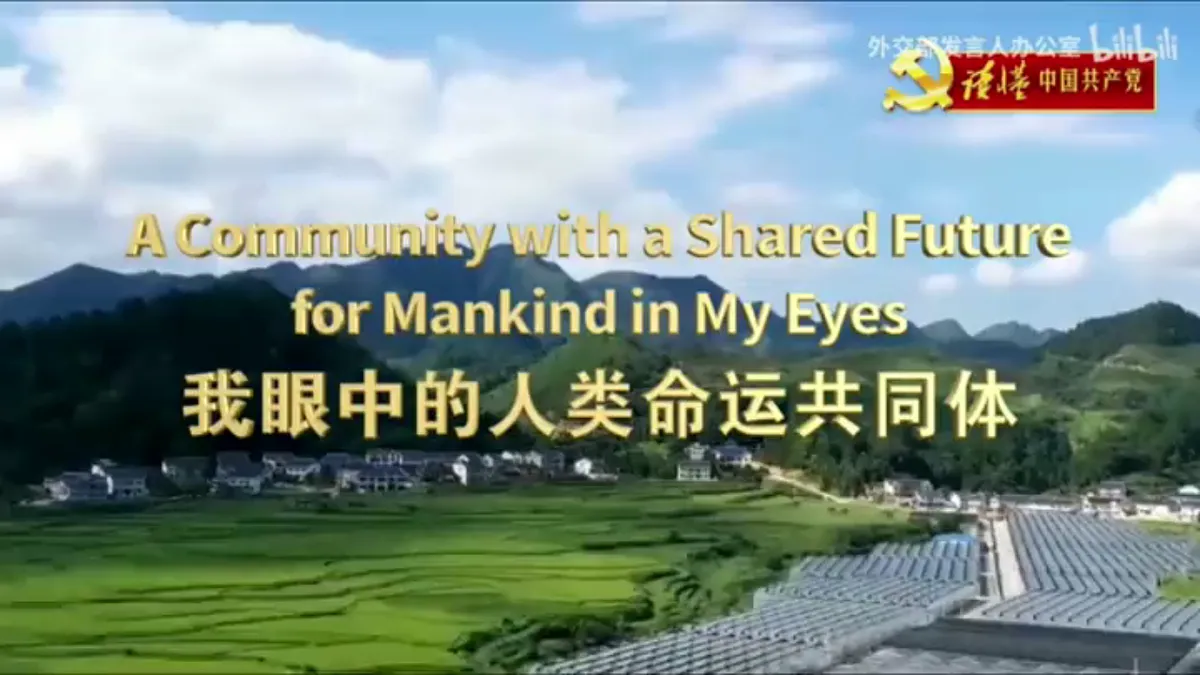 18335235第7页