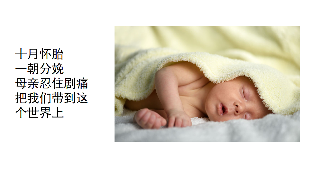 18335403第2页
