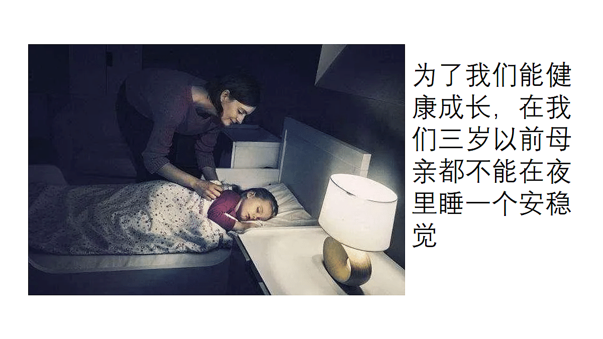 18335403第3页