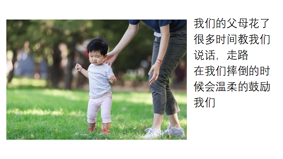 18335403第4页