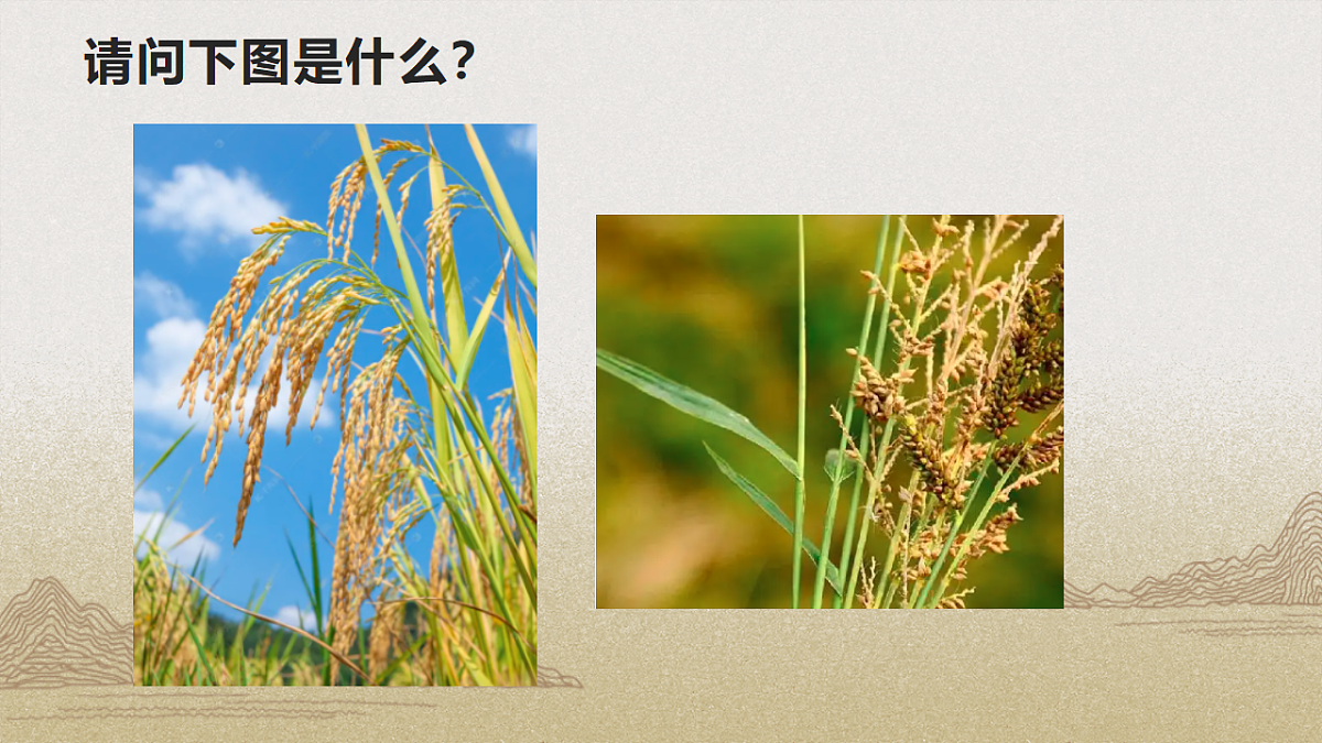 18335411第4页