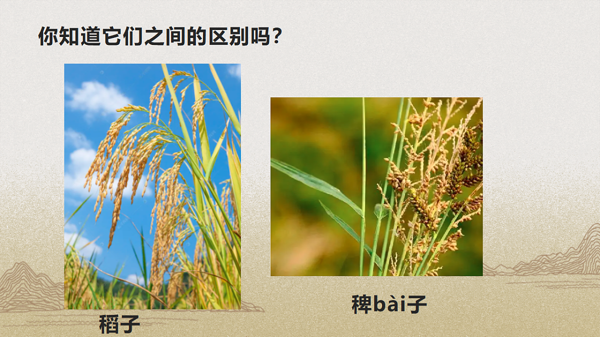 18335411第5页