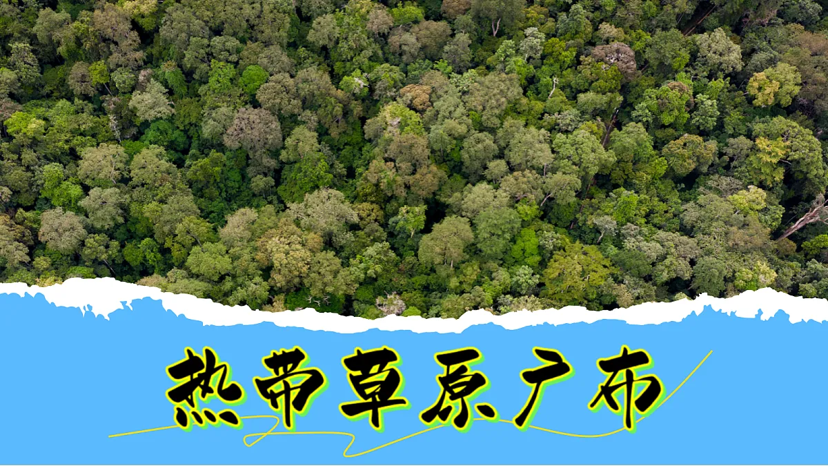 9.3《撒哈拉以南非洲》第1课时热带草原广布教学课件.docx第3页