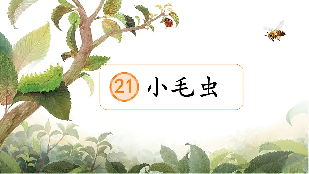 18336233第3页