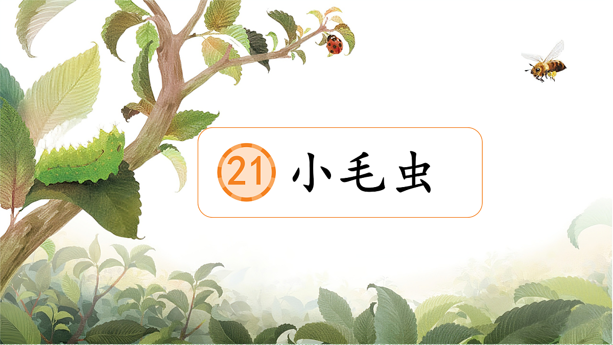 18336233第3页
