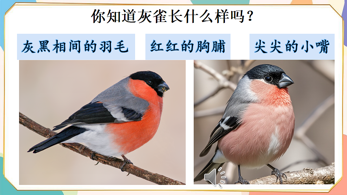 18336234第2页