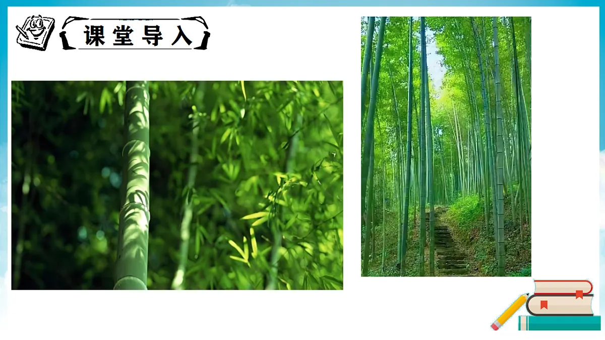 18337157第3页