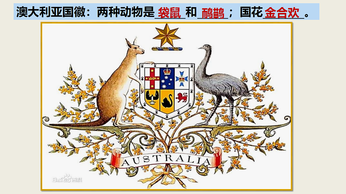 18337741第8页