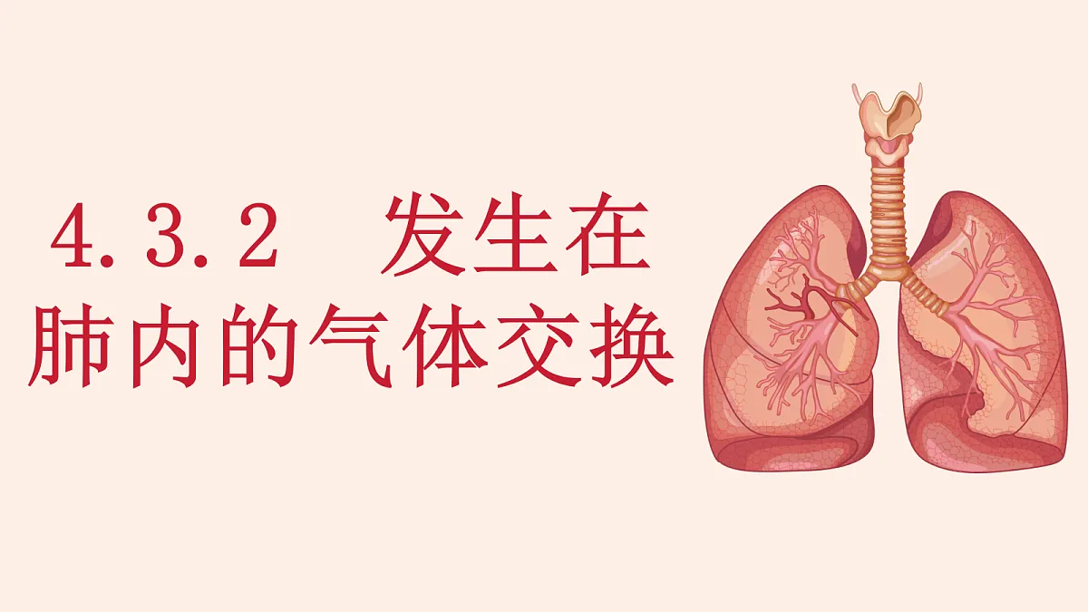 18337771第2页