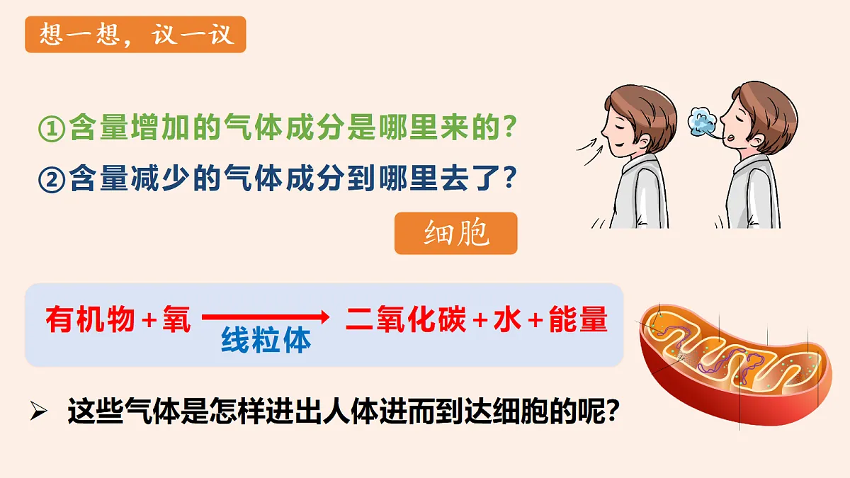 18337771第4页