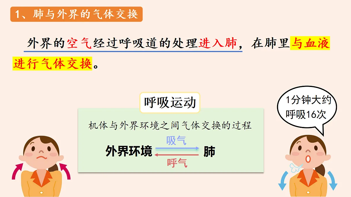 18337771第5页