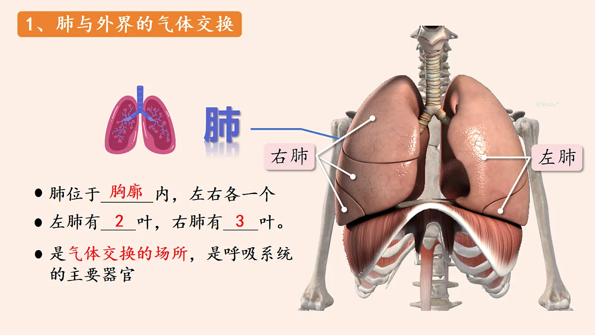 18337771第6页