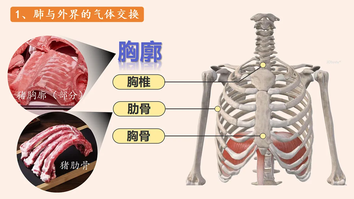 18337771第7页