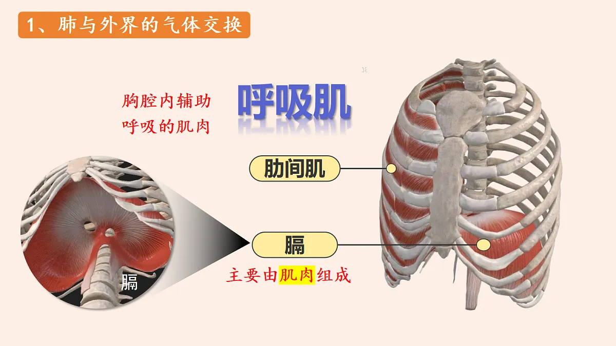 18337771第8页